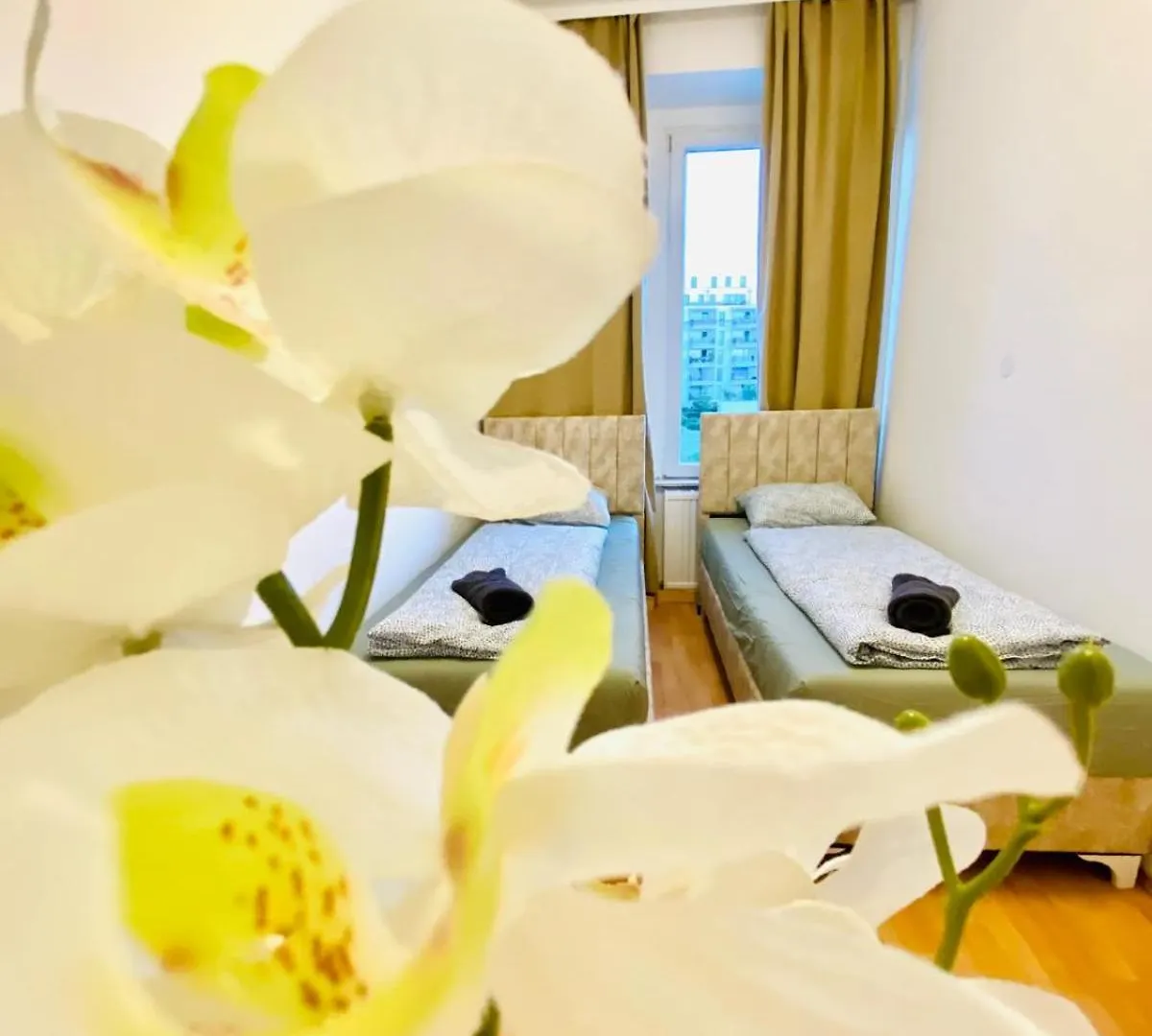 Comfortable 5Br Apt Well Connected Location 비엔나 아파트
